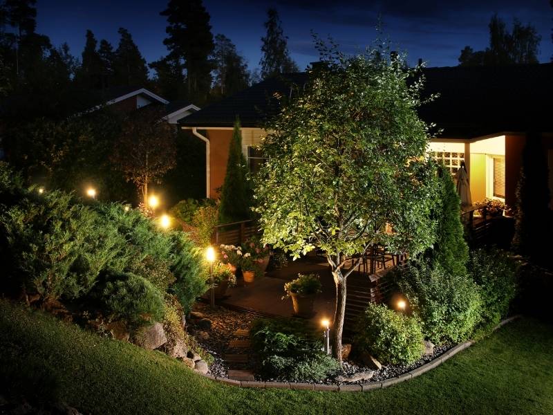 How to Highlight Your Garden and Trees landscape lighting